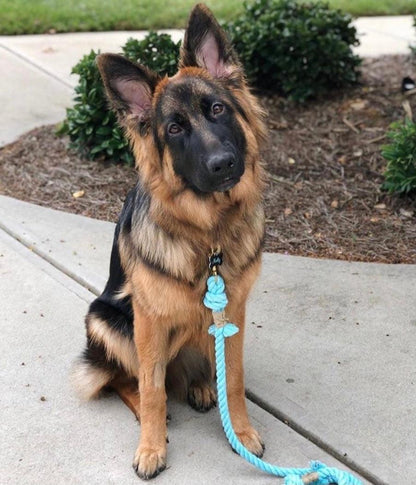 ROPE LEASH - SPRINKLES