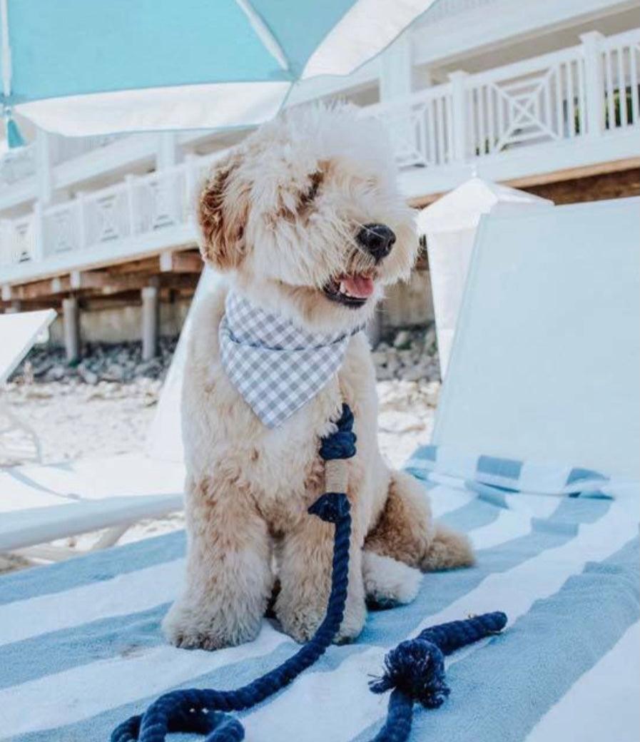 ROPE LEASH - SPRINKLES