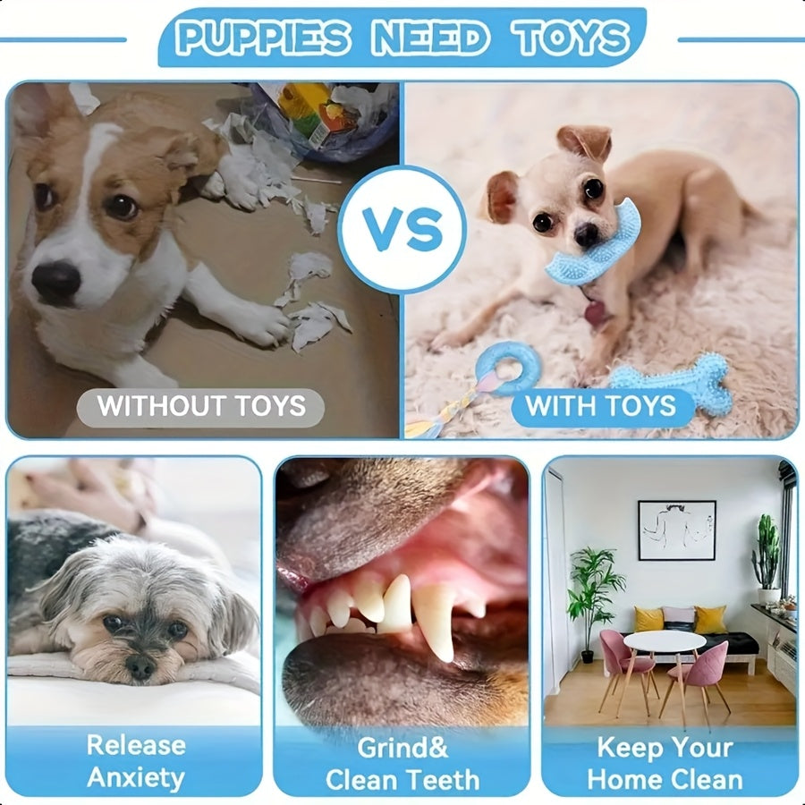 Series Dog Chew Toy Set (16pcs)