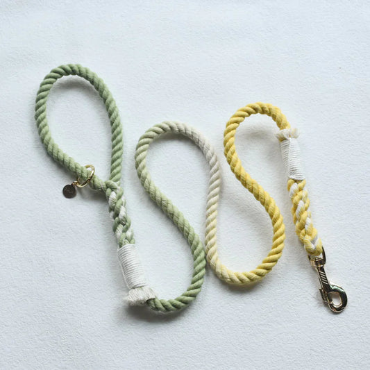 HANDS FREE DOG ROPE LEASH - LIME LEMONADE
