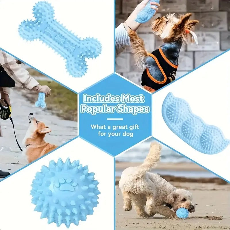 Series Dog Chew Toy Set (16pcs)